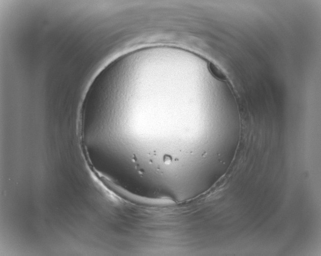 X0000068731527200605192306