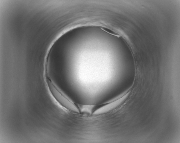 X0000068731528200605192306