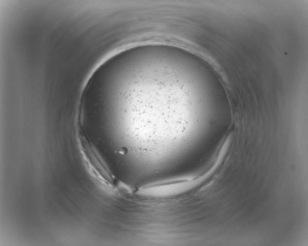 X0000068731530200605192306