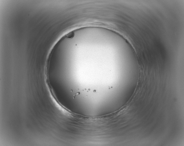 X0000068731531200605192306