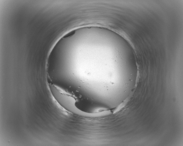 X0000068731532200605192306