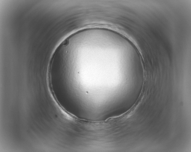 X0000068731533200605192306