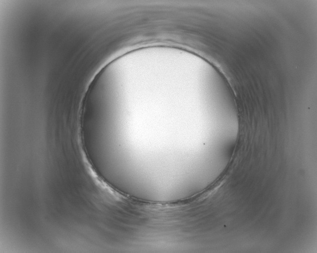 X0000068731534200605192306