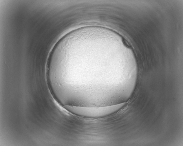 X0000068731535200605192306