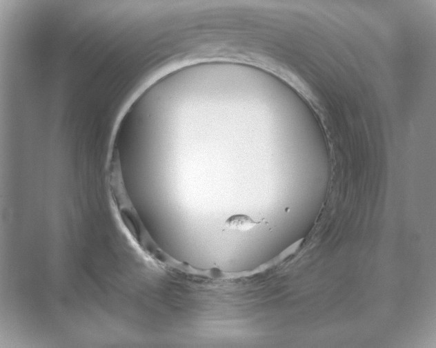 X0000068731536200605192306