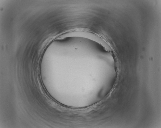 X0000068730001200605262037