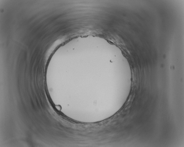 X0000068730003200605262037