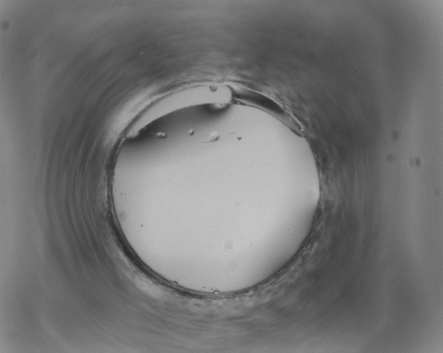 X0000068730005200605262037