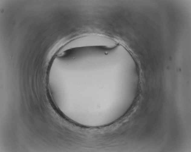 X0000068730007200605262037