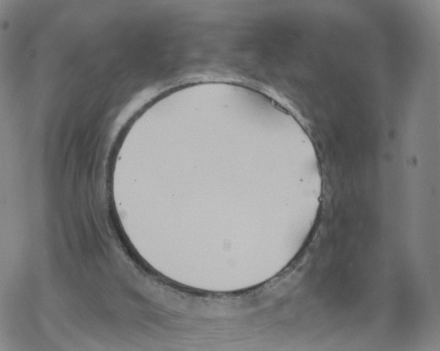 X0000068730008200605262037