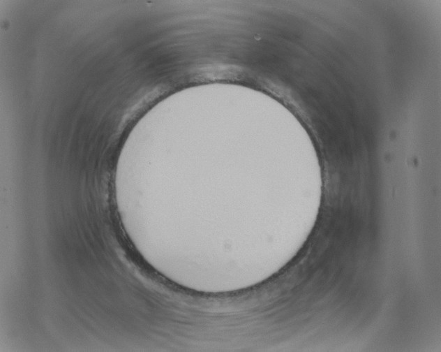 X0000068730010200605262037