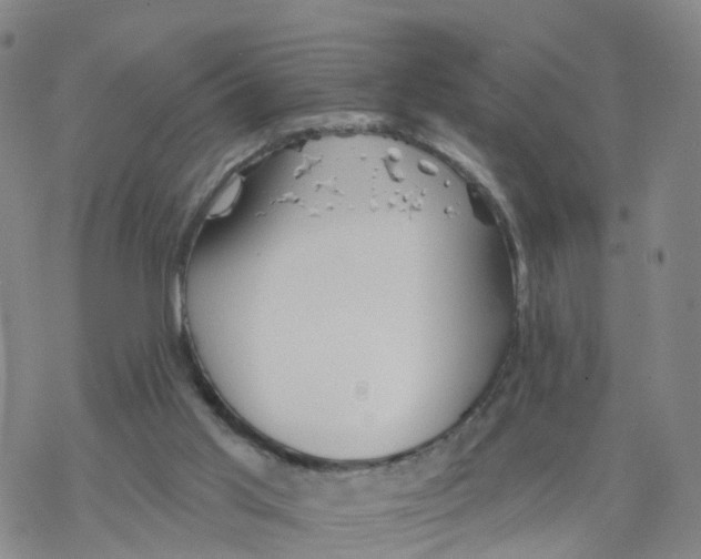 X0000068730013200605262037