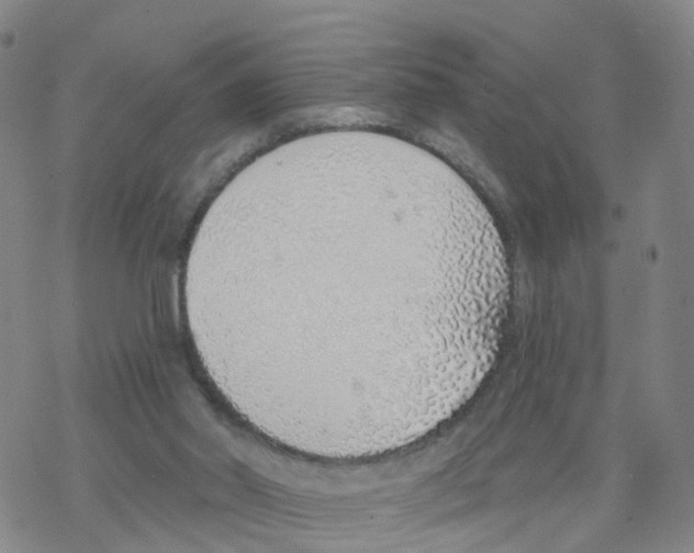 X0000068730014200605262037