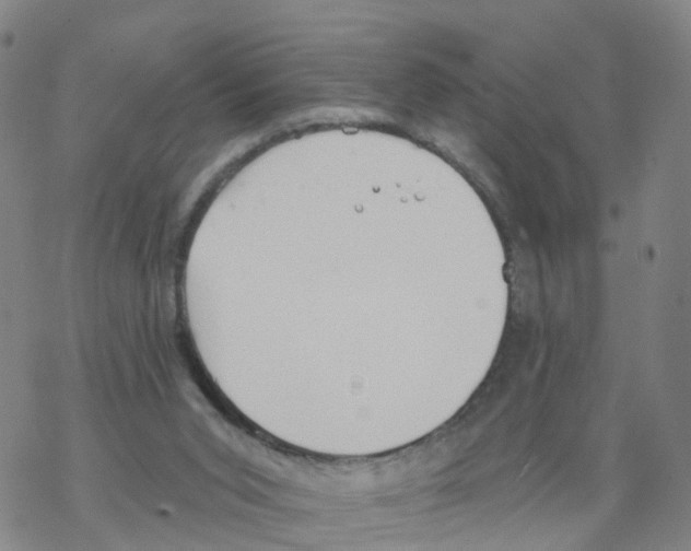 X0000068730015200605262037