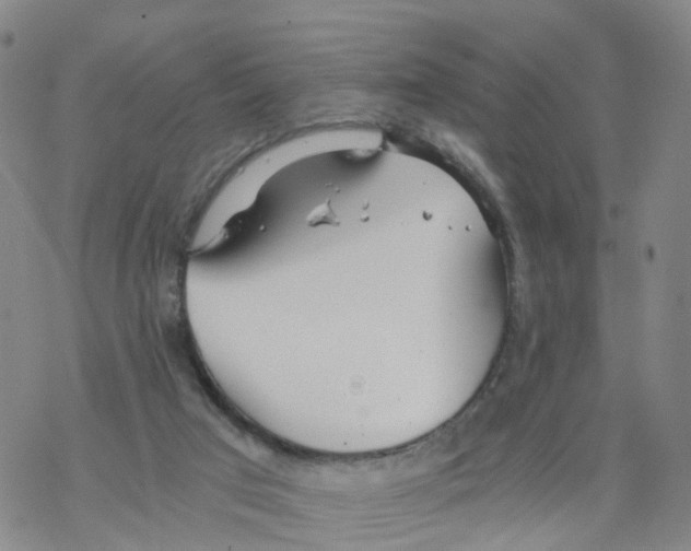 X0000068730017200605262037