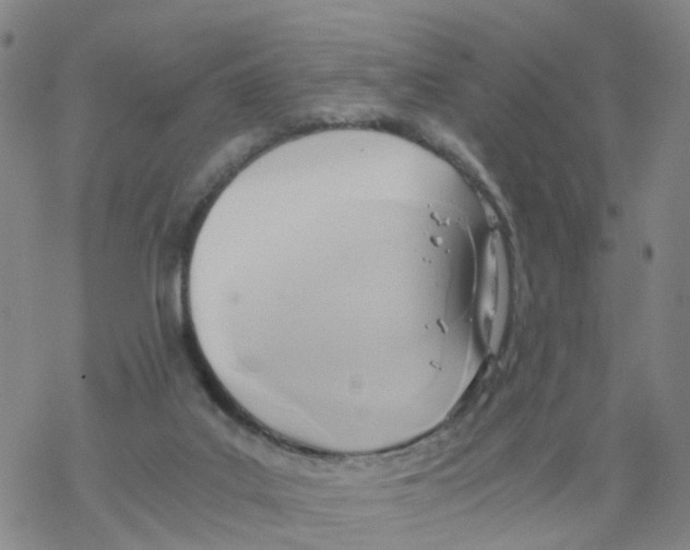 X0000068730019200605262037