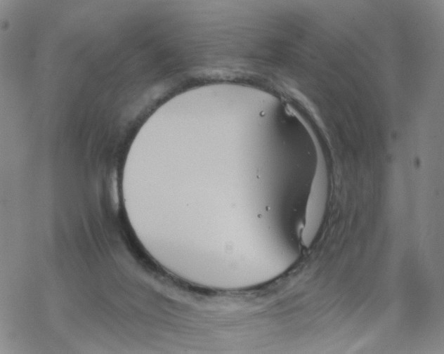 X0000068730020200605262037