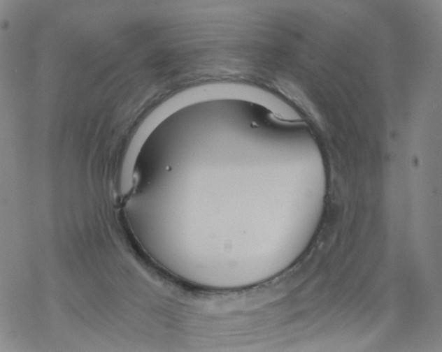 X0000068730021200605262037