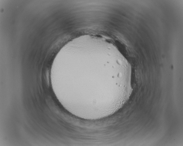 X0000068730022200605262037