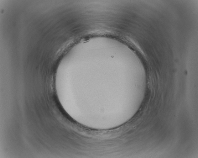 X0000068730023200605262037