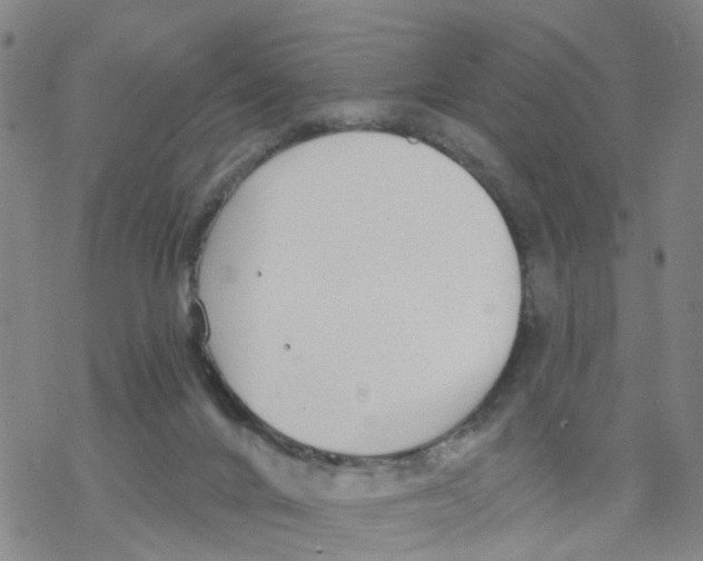 X0000068730024200605262037