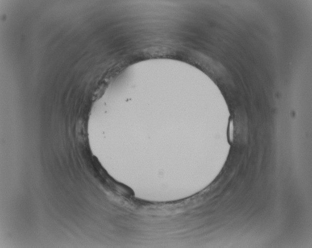 X0000068730025200605262037