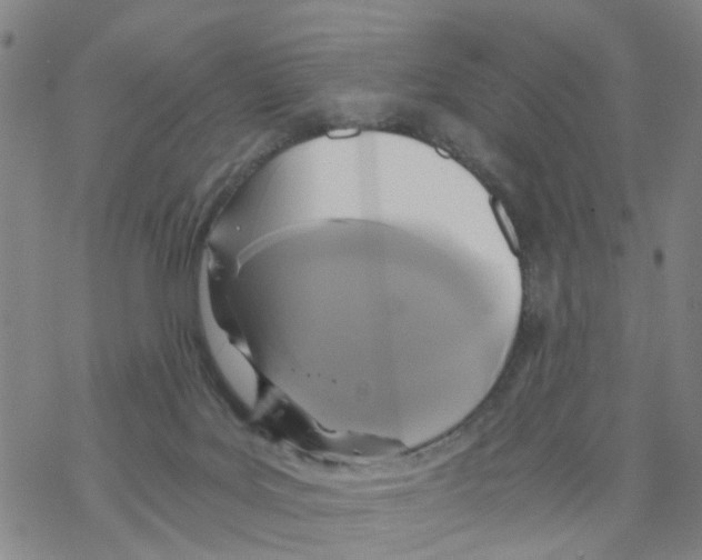 X0000068730027200605262037