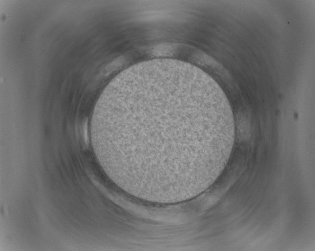 X0000068730028200605262037