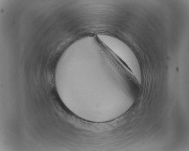 X0000068730031200605262037