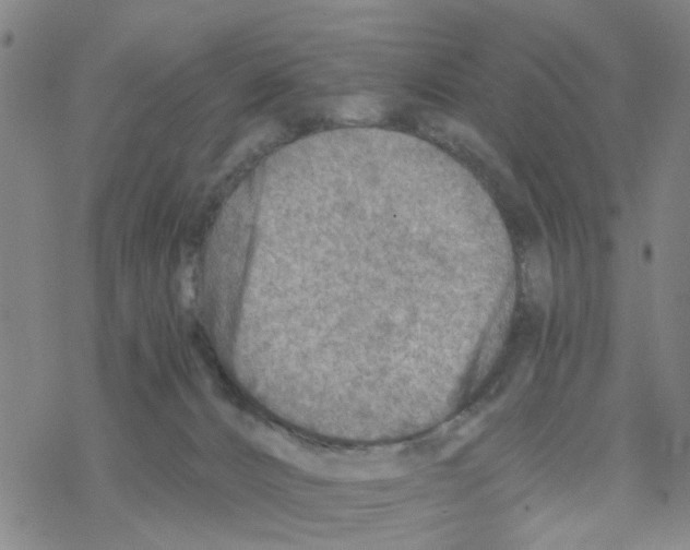 X0000068730032200605262037