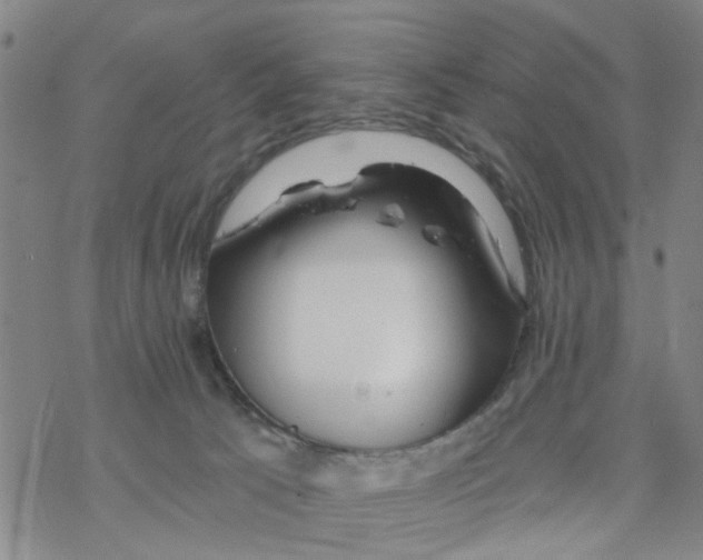 X0000068730033200605262037