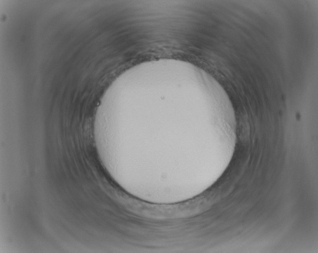 X0000068730034200605262037