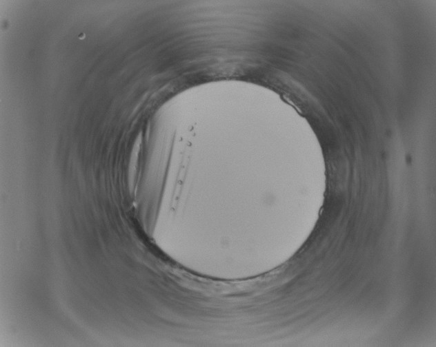 X0000068730035200605262037