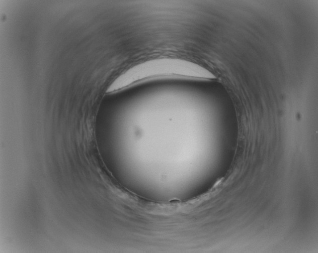 X0000068730037200605262037