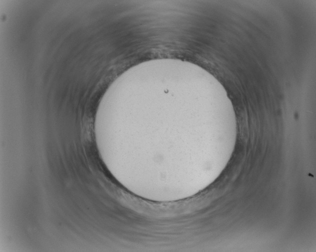 X0000068730038200605262037