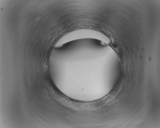 X0000068730040200605262037