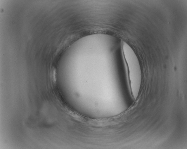 X0000068730041200605262037