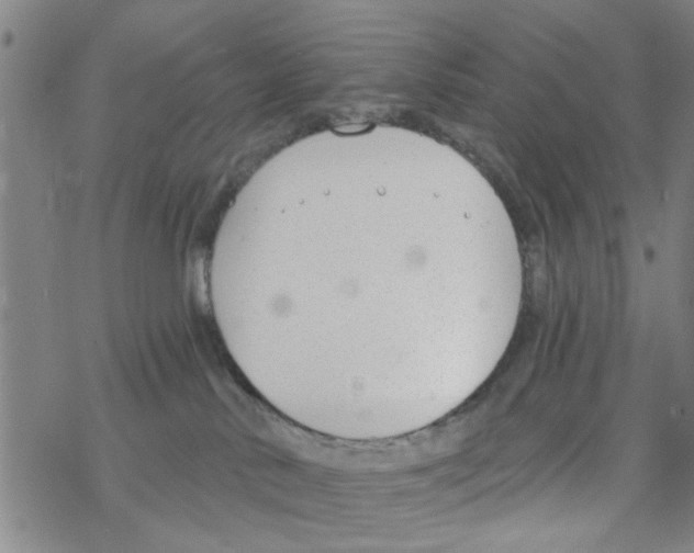 X0000068730042200605262037