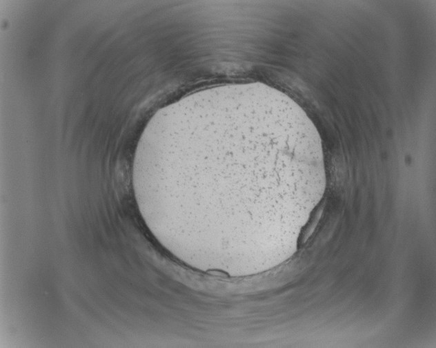 X0000068730043200605262037