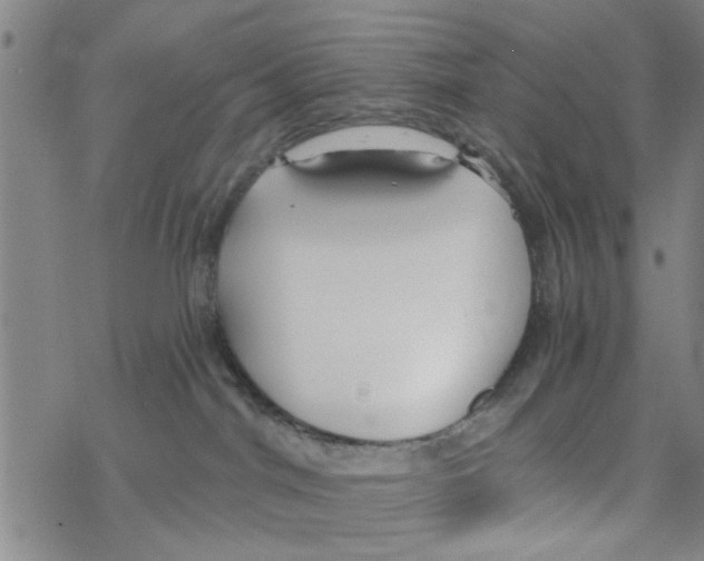 X0000068730044200605262037