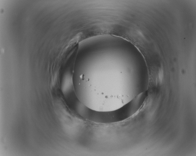 X0000068730045200605262037