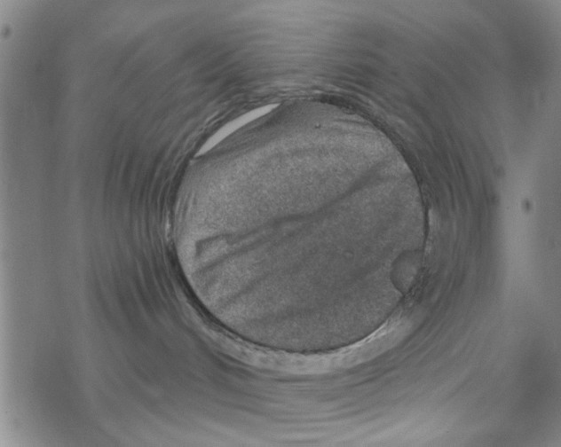 X0000068730048200605262036