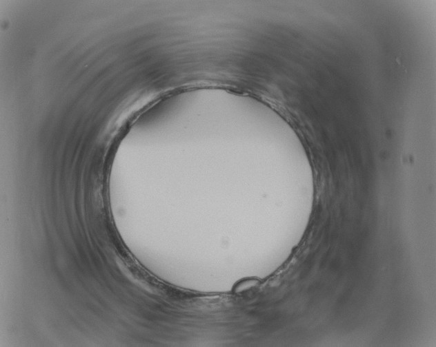 X0000068730050200605262036