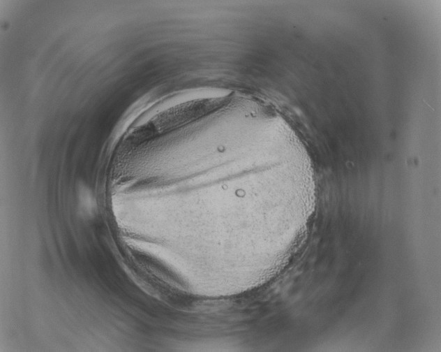 X0000068730051200605262036