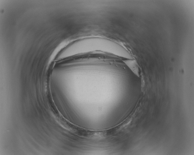 X0000068730056200605262036