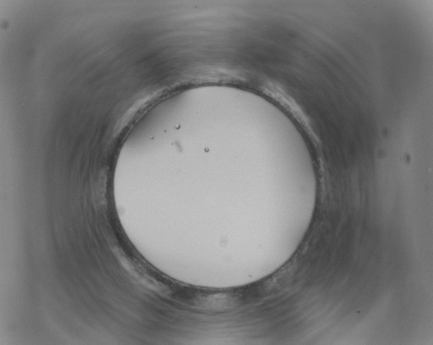 X0000068730058200605262036