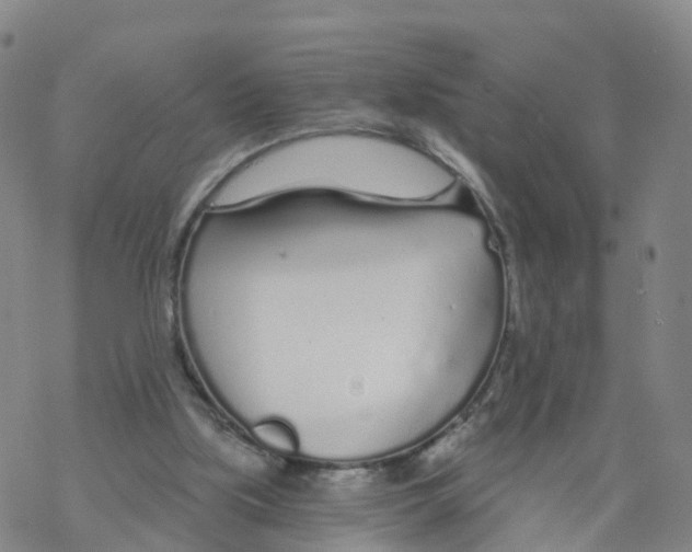 X0000068730059200605262036