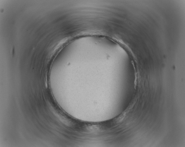 X0000068730062200605262036