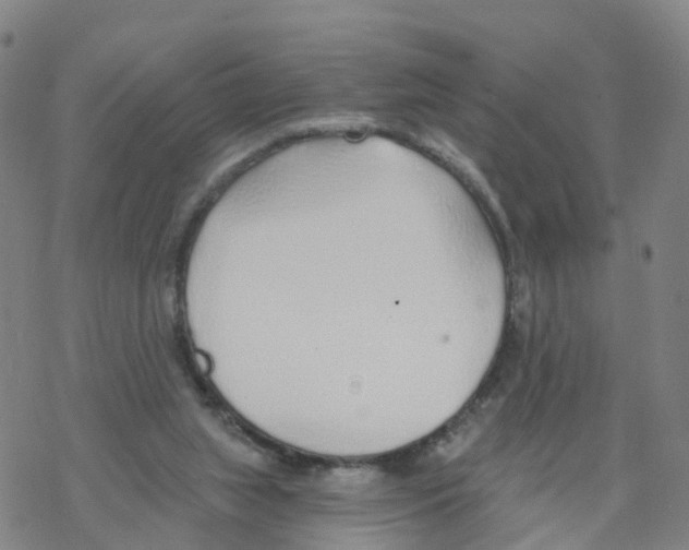 X0000068730063200605262036