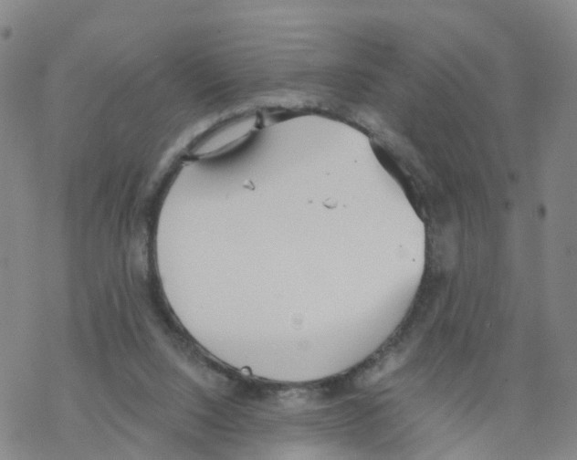 X0000068730064200605262036